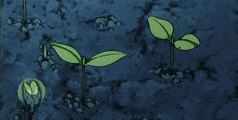 1646015184720739.gif