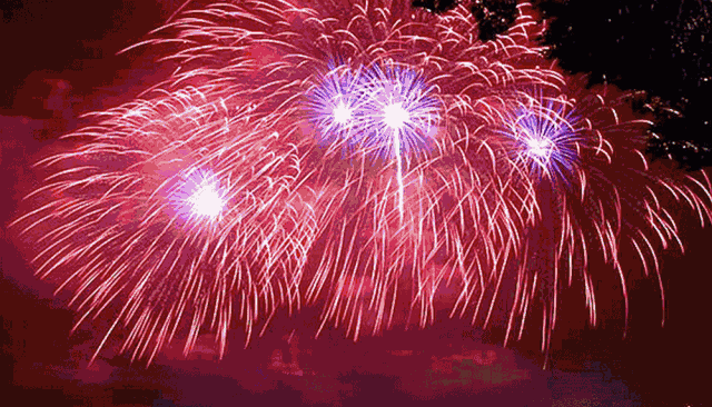 1715908805133283.gif